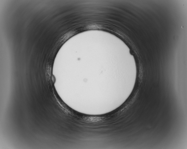 X0000103330849200810061013