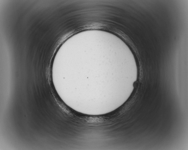 X0000103330850200810061013