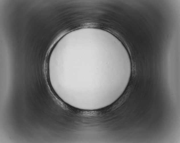 X0000103330859200810061013