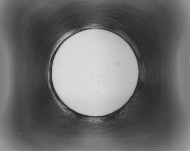 X0000103330861200810061013