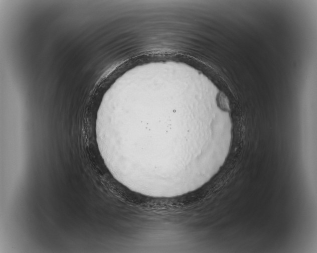 X0000103330871200810061012