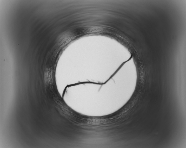 X0000103330873200810061012