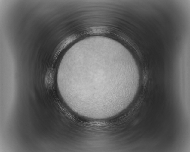 X0000103330874200810061012