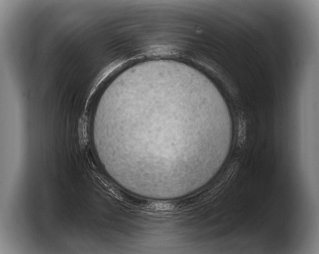 X0000103330878200810061012