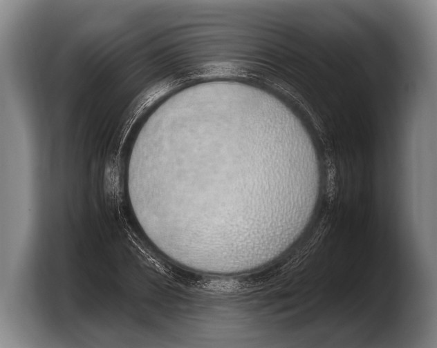 X0000103330882200810061012