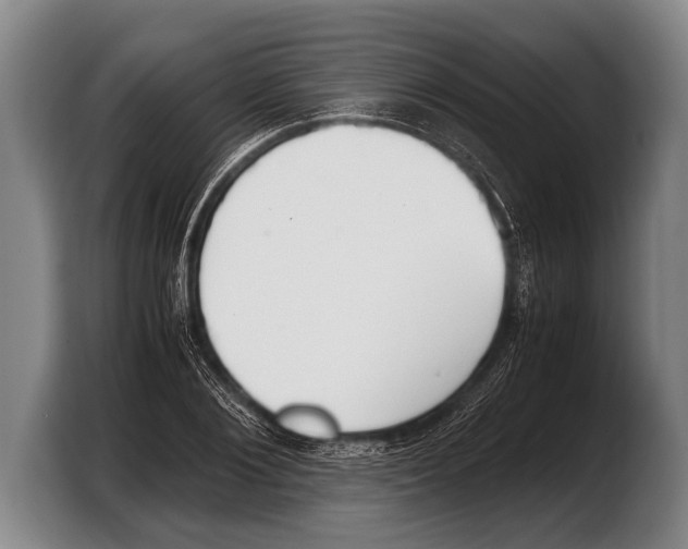 X0000103330884200810061012