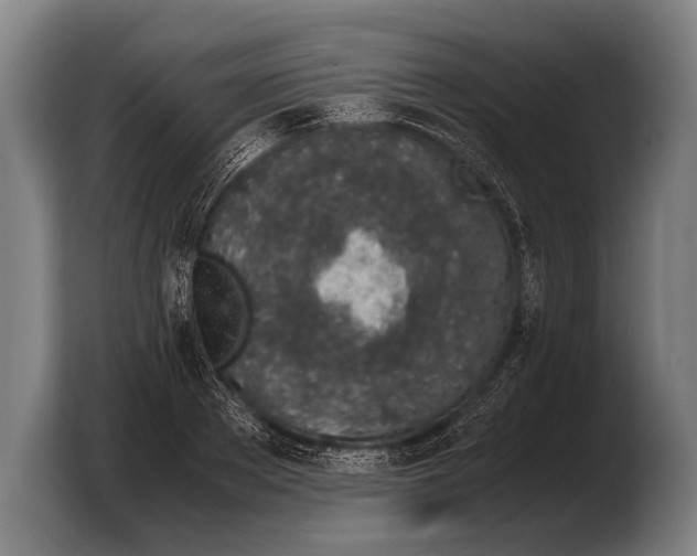 X0000103330889200810061012