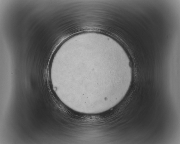 X0000103330891200810061012