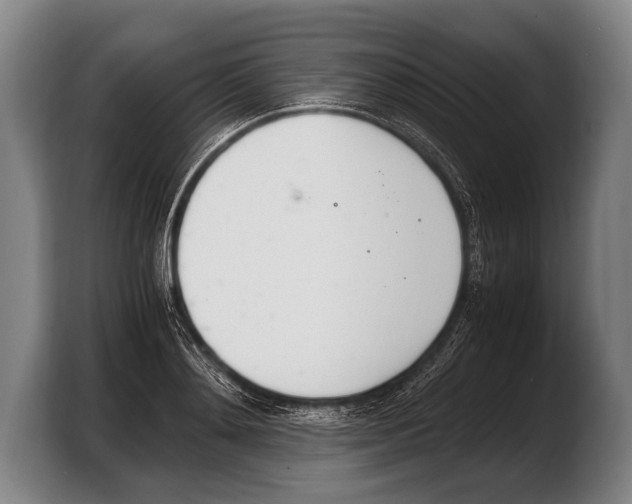 X0000103330892200810061012