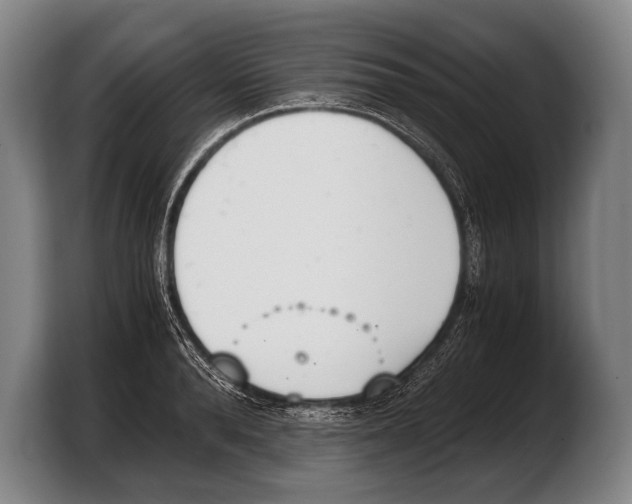 X0000103330896200810061012