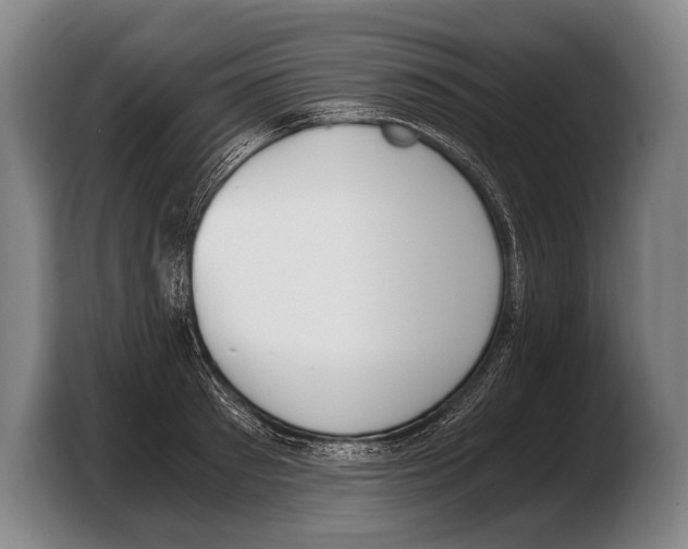 X0000103330897200810061012