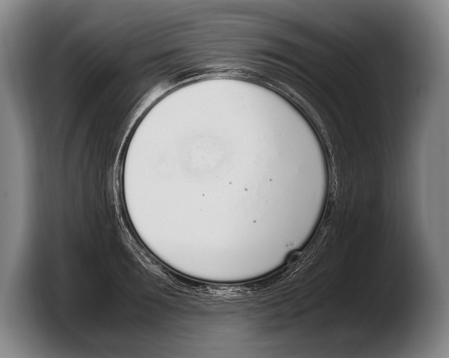 X0000103330899200810061012