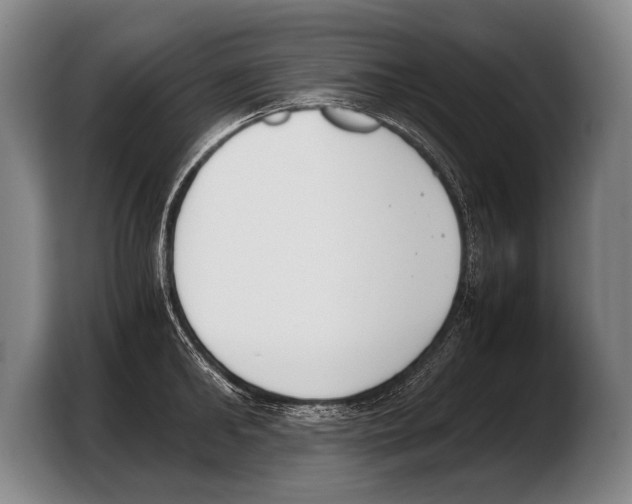 X0000103330902200810061012