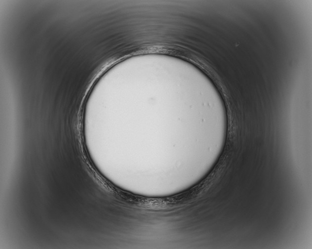 X0000103330907200810061012