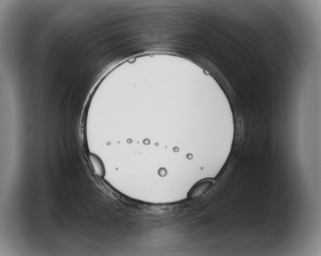 X0000103330908200810061012