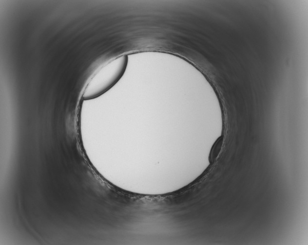 X0000103330912200810061012