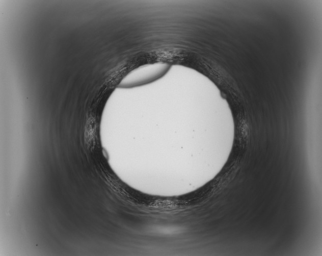 X0000103330914200810061011