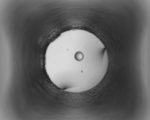 X0000103330916200810061011