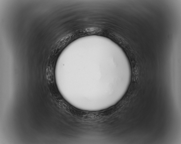 X0000103330917200810061011