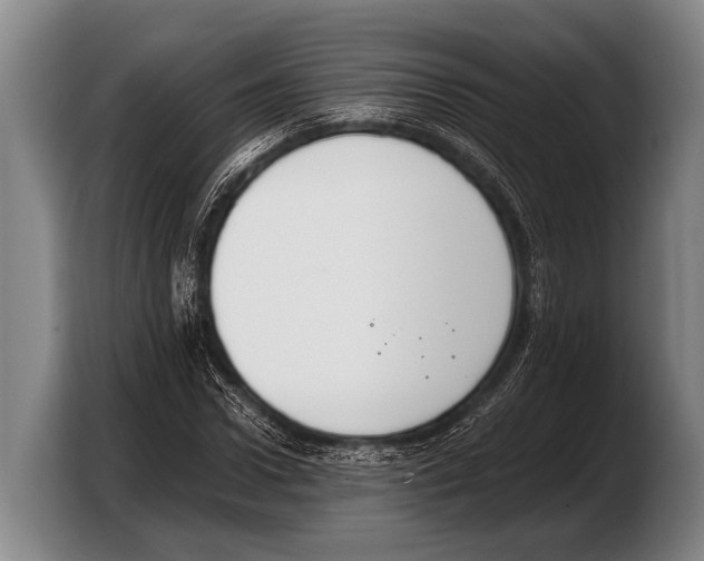 X0000103330922200810061011