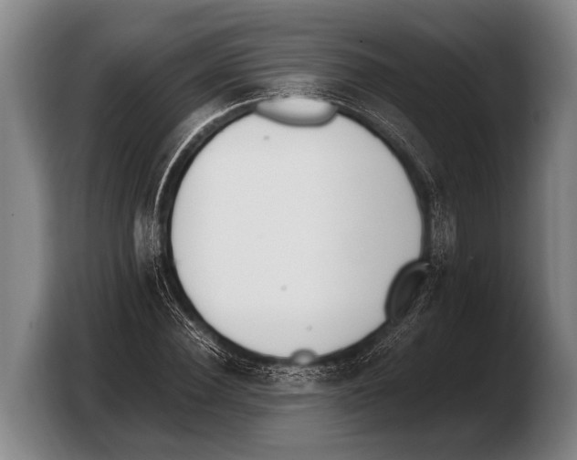 X0000103330924200810061011