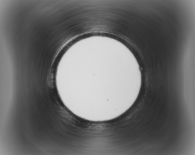 X0000103330926200810061011