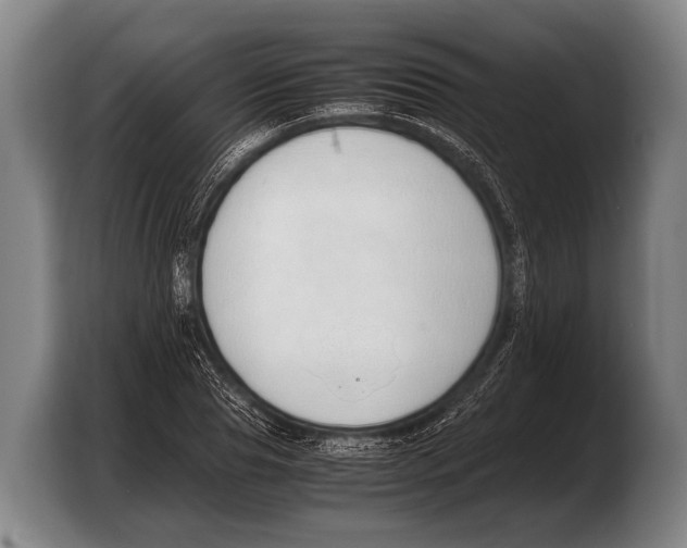 X0000103330929200810061011