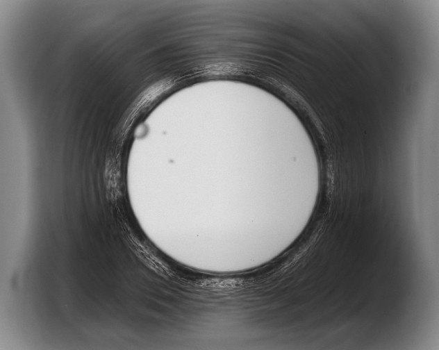 X0000103330930200810061012