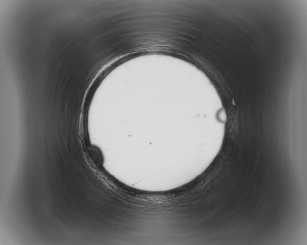 X0000103330932200810061012