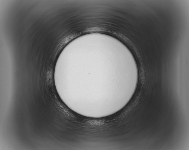 X0000103330937200810061012