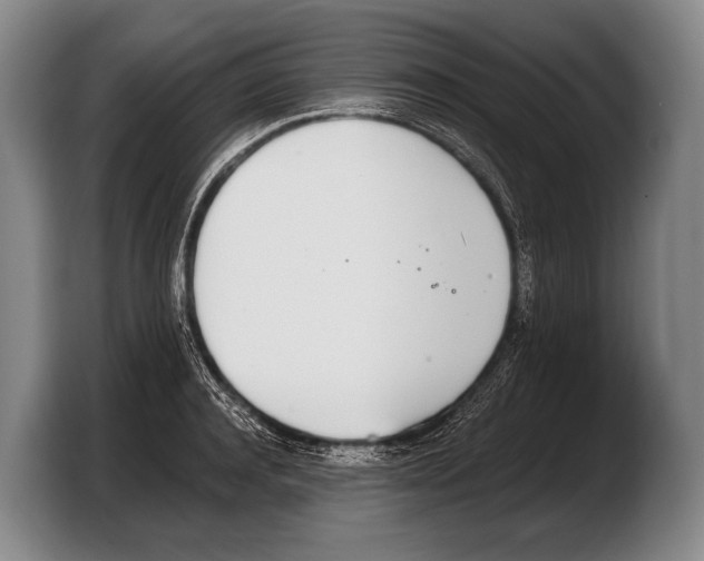 X0000103330944200810061012