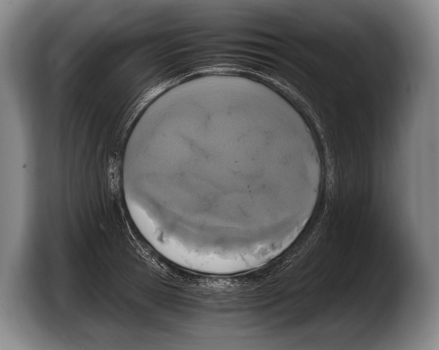 X0000103330945200810061012