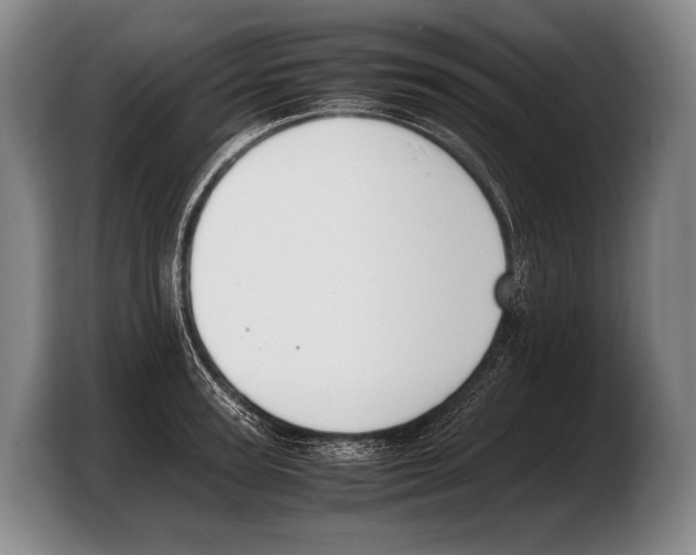 X0000103330947200810061012