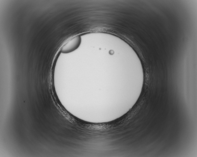 X0000103330948200810061012