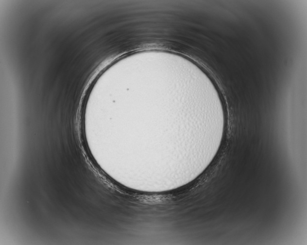 X0000103330949200810061012