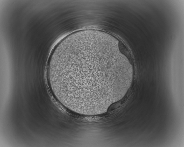 X0000103330952200810061012