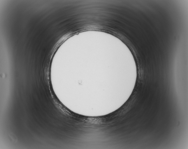 X0000103330954200810061012