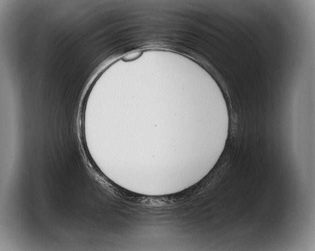 X0000103330955200810061012