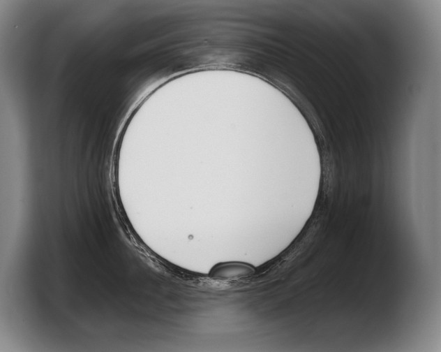 X0000103330956200810061012