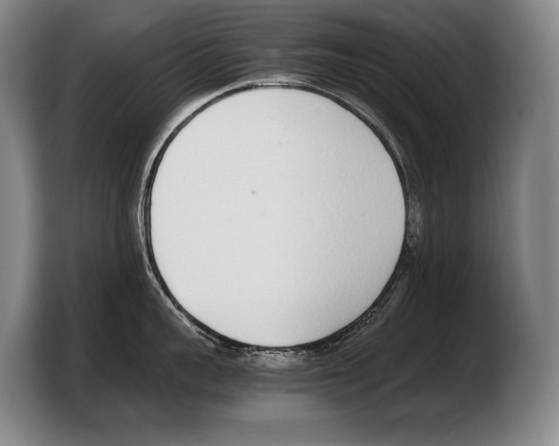 X0000103330959200810061012