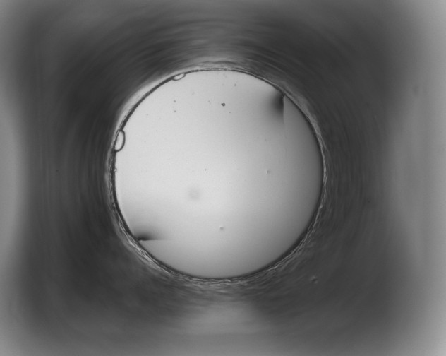 X0000103330960200810061012