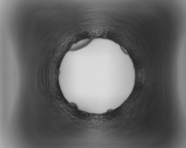 X0000103330961200810061011