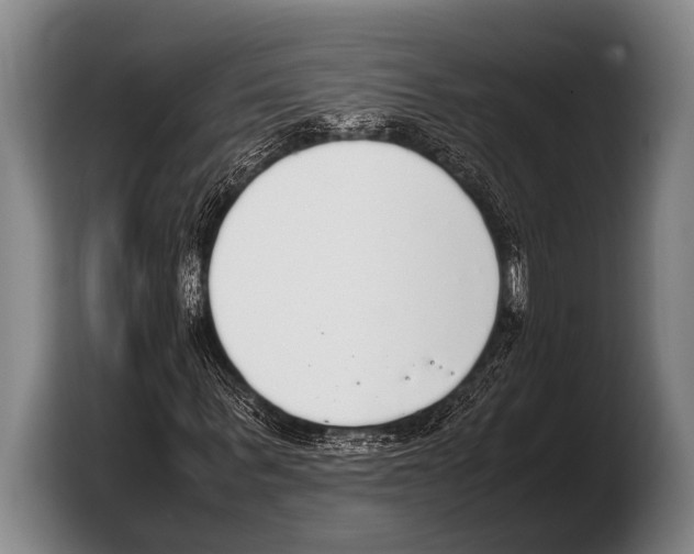 X0000103330963200810061011