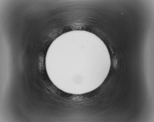 X0000103330964200810061011