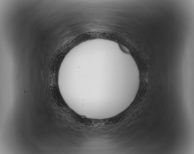 X0000103330965200810061011