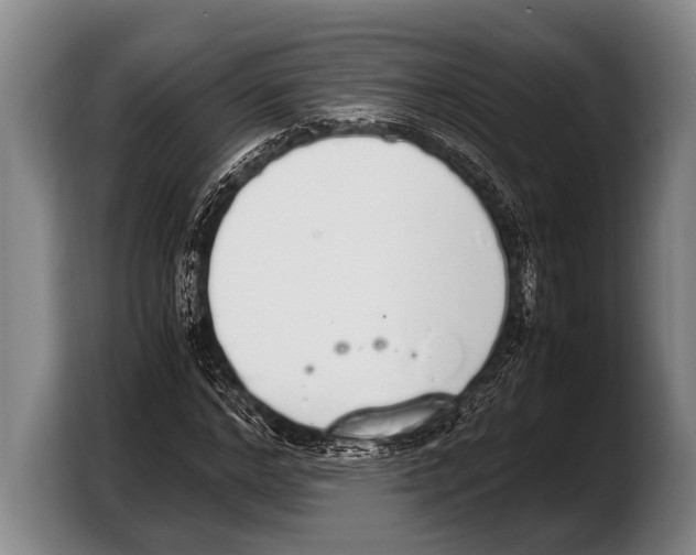 X0000103330968200810061011