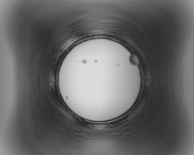 X0000103330969200810061011