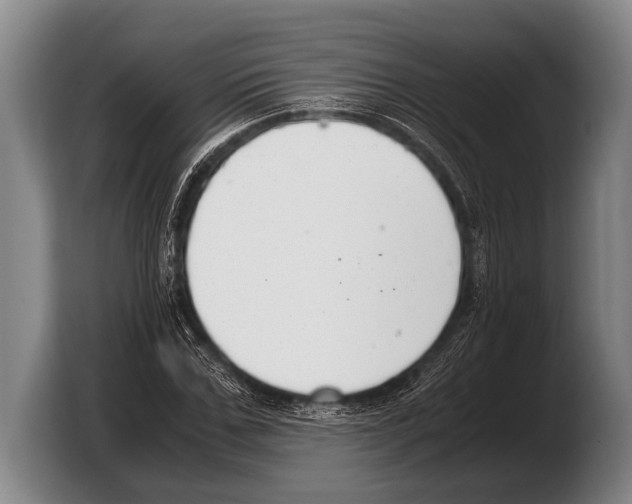 X0000103330971200810061011