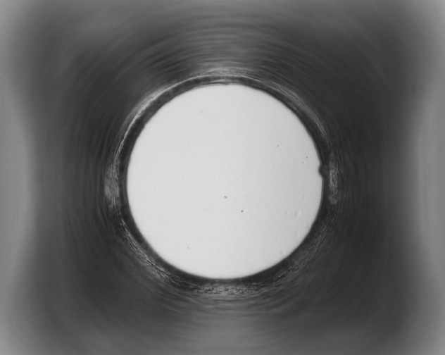 X0000103330972200810061011