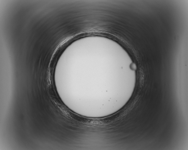 X0000103330974200810061011